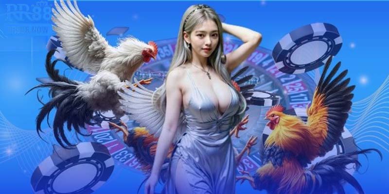 Giới thiệu điểm nổi bật tạo nên sức hút của nền tảng RR88